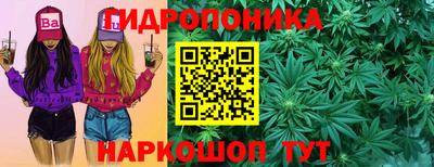 прущие грибы Славгород