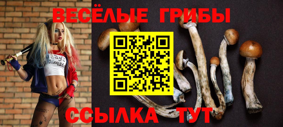 Псилоцибиновые грибы мицелий  Галлюциногенные грибы Magic Shrooms  Вход с VPN  Новочеркасск 