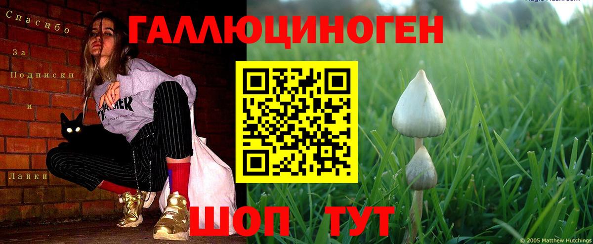 Галлюциногенные грибы ЛСД Новочеркасск